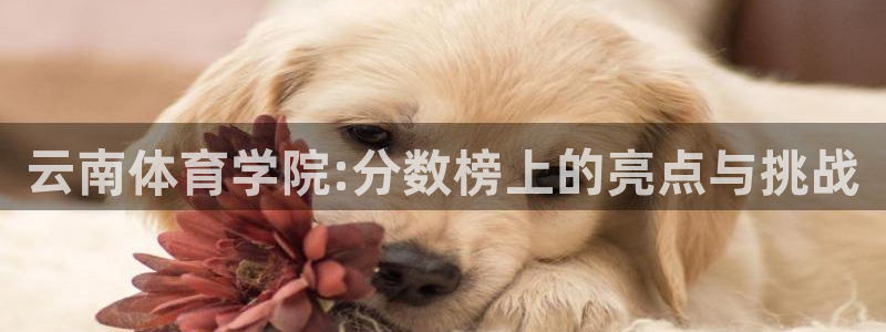 球王会体育：云南体育学院:分数榜上的亮点与挑战