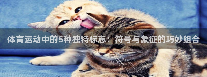 球王会体育：体育运动中的5种独特标志：符号与象征的巧妙组合