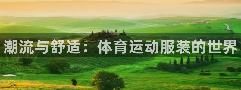 球王会体育：潮流与舒适：体育运动服装的世界