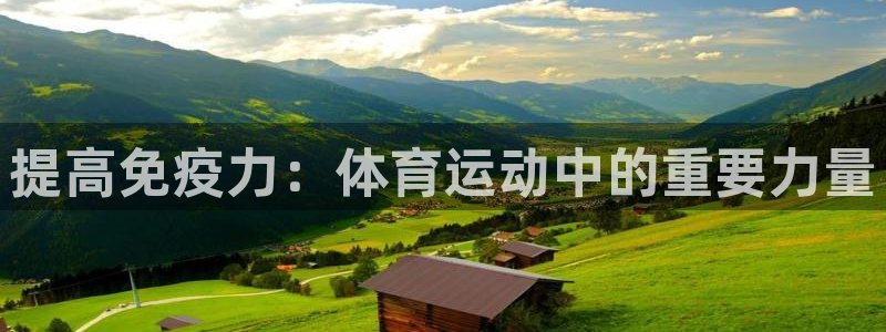 球王会体育