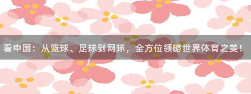 球王会体育：看中国：从篮球、足球到网球，全方位领略世界体育之美！