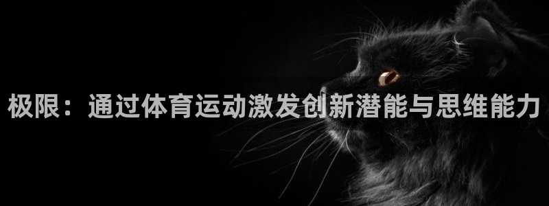 球王会体育