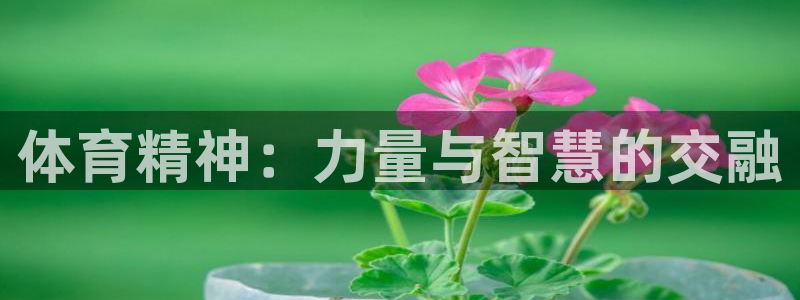 球王会体育
