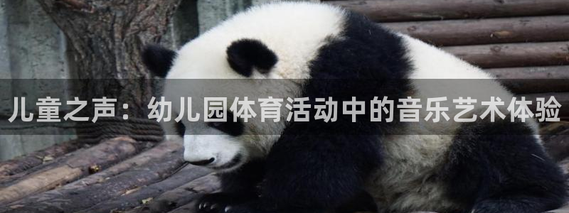 球王会体育：儿童之声：幼儿园体育活动中的音乐艺术体验