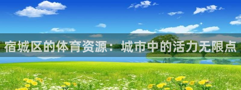 球王会体育